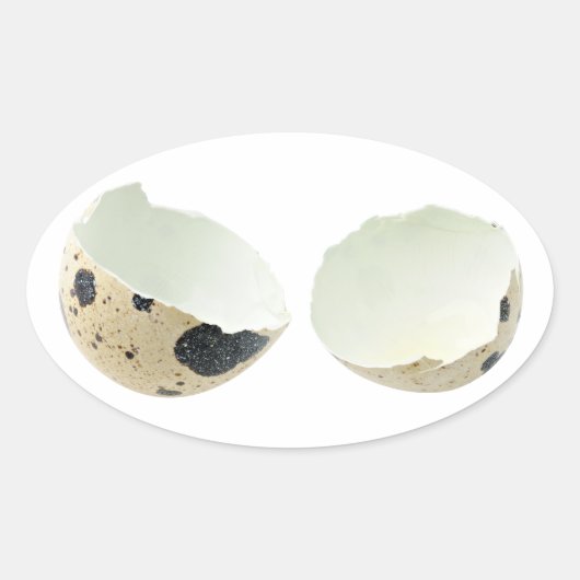 Zerbrochene Muschel Ovaler Aufkleber (Vorderseite)