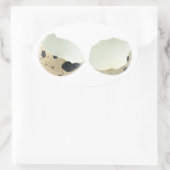 Zerbrochene Muschel Ovaler Aufkleber (Tasche)