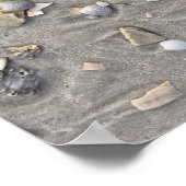 Zerbrochene Muscheln auf Cape San Blas, Florida Poster (Ecke)