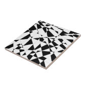 Zerbrochenes Leben in Schwarzem u. im Weiß Fliese (Seite)