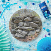 Zeremonienstein feiern pappteller (Party)