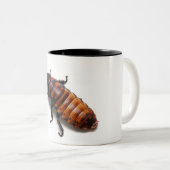 Zerquetschen Sie das Hisser Zweifarbige Tasse (VorderseiteRechts)