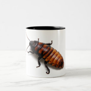Zerquetschen Sie das Hisser Zweifarbige Tasse