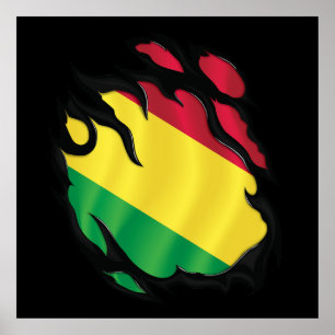 Zerrissene Flagge Boliviens Poster