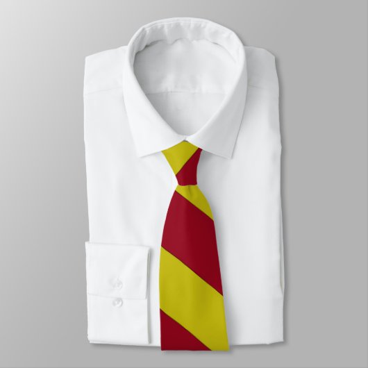 Zerrissene Krawatte (Gebunden)