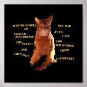 Zerstöre! Somali Cat Poster (Vorne)