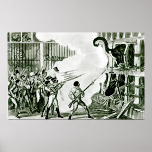 Zerstörung des wütenden Elefanten in Exeter Poster