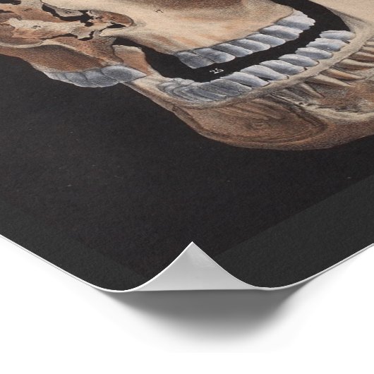 zerstreute Explosionsdrucke Poster (Ecke)