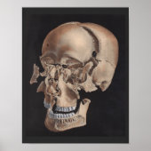 zerstreute Explosionsdrucke Poster (Vorne)