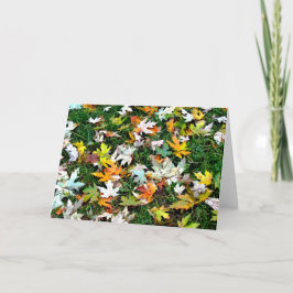 Zerstreutes Blätter Feiertagskarte