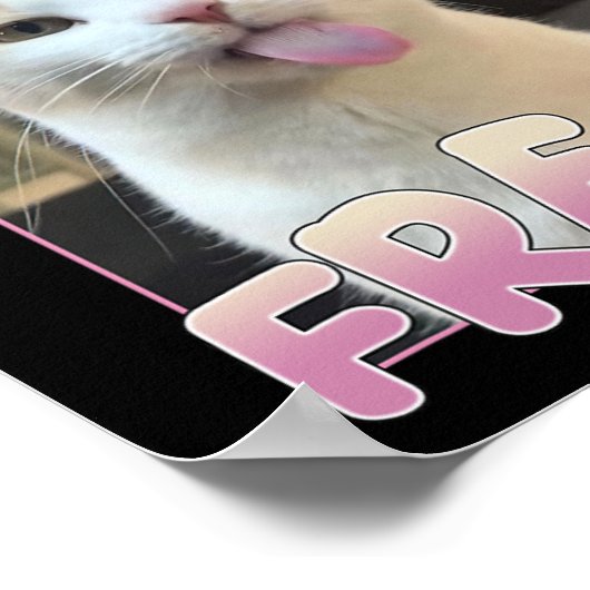 Zertifizierte Freak Niedlich Cat Meme Liebhaber vo Poster (Ecke)