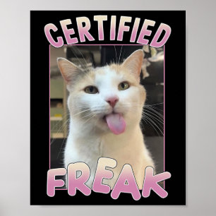 Zertifizierte Freak Niedlich Cat Meme Liebhaber vo Poster