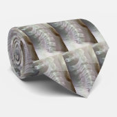 Zervikale Dorn-Krawatte Krawatte (Gerollt)