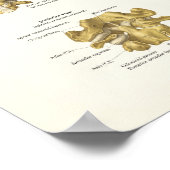 Zervikale Wirbelsäule und Wirbelsäule Anatomie Pos Poster (Ecke)