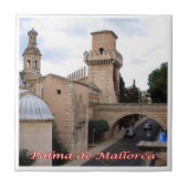 zES125 PALMA DE MALLORCA, Spanien, Fliese (Vorderseite)