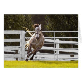 Zest für Leben (Vorderseite (Horizontal))