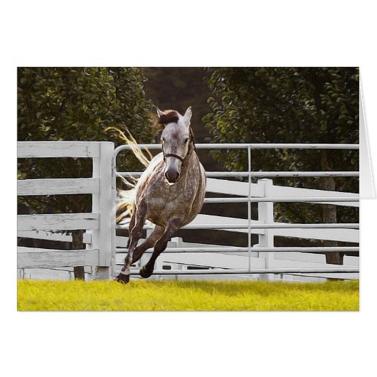 Zest für Leben (Vorderseite (Horizontal))