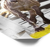 Zest für Leben Fotodruck (Ecke)