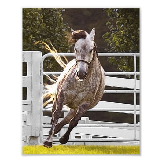 Zest für Leben Fotodruck (Vorne)