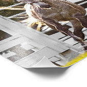 Zest für Leben Fotodruck (Ecke)