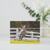 Zest für Leben Postkarte (Stehend Vorderseite)