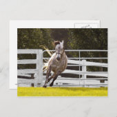 Zest für Leben Postkarte (Vorne/Hinten)