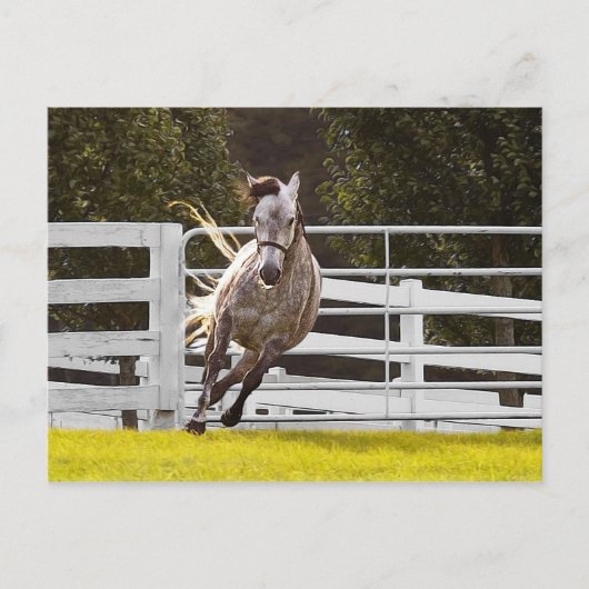 Zest für Leben Postkarte (Vorderseite)