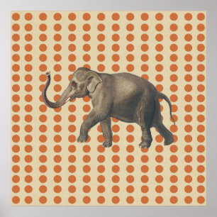 Zest Spice Moods Punkte mit Elefant Poster