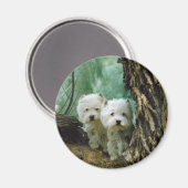 Zest und Donna (Mutter und Tochter nehmen 2) Magnet (Vorderseite/Rückseite)