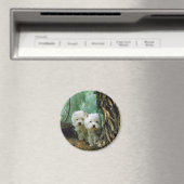 Zest und Donna (Mutter und Tochter nehmen 2) Magnet (In Situ (Geschirrspüler))