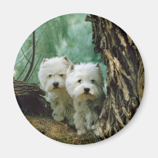 Zest und Donna (Mutter und Tochter nehmen 2) Magnet (Vorne)