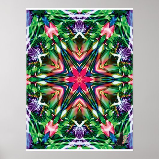Zesty Kinetic Collage Kaleidoscope Poster (Vorne)