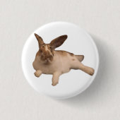 Zesty Paddy Abzeichen Button (Vorderseite)