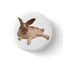 Zesty Paddy Abzeichen