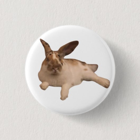 Zesty Paddy Abzeichen Button (Vorderseite)