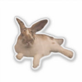 Zesty Paddy Sticker (Vorderseite)