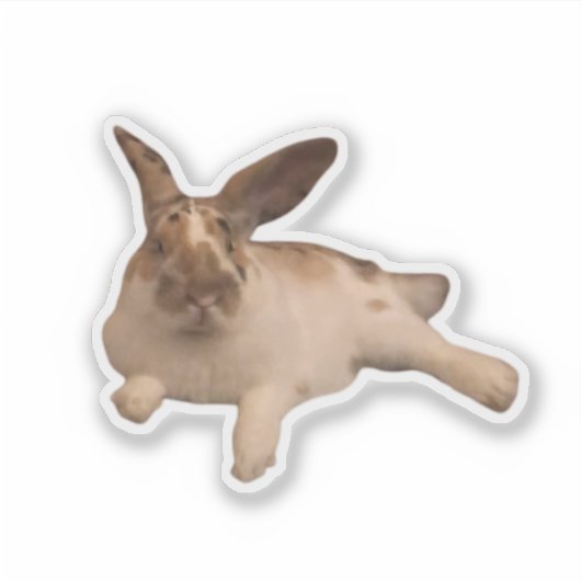 Zesty Paddy Sticker (Vorderseite)