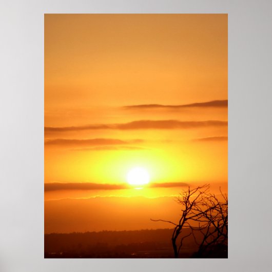 Zesty SUN Poster (Vorne)