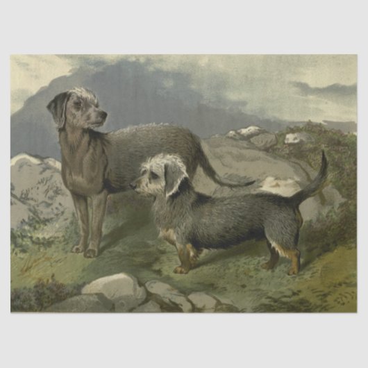 Zettel für Vintage Terrier Seidenpapier (Vorderseite)