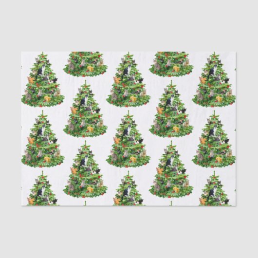 Zettelpapier für Katzenbaum Seidenpapier (Vorderseite)