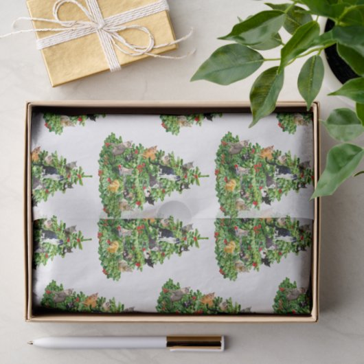 Zettelpapier für Katzenbaum Seidenpapier (Geschenk)