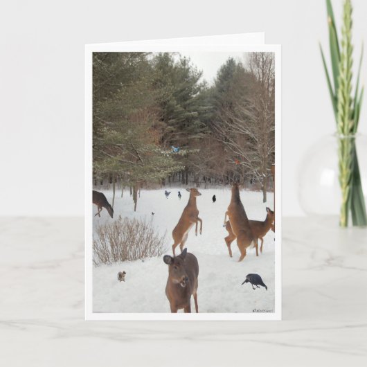 Zeuge der Schönheit der Natur Karte (Vorderseite)