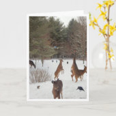 Zeuge der Schönheit der Natur Karte (Gelbe Blume)