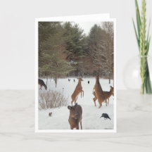 Zeuge der Schönheit der Natur