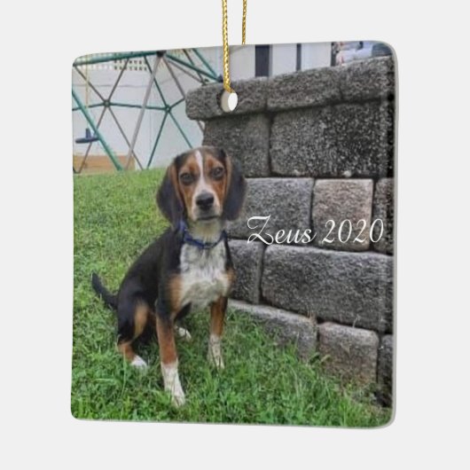 Zeus 2020 Weihnachtsschmuck (Links)