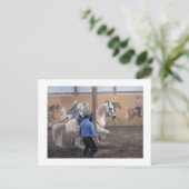 Zeus, Levade in den Säulen Postkarte (Stehend Vorderseite)