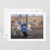 Zeus, Levade in den Säulen Postkarte (Vorne/Hinten)