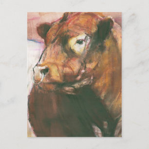 Zeus Red Belted Galloway Bull 2006 2 Postkarte