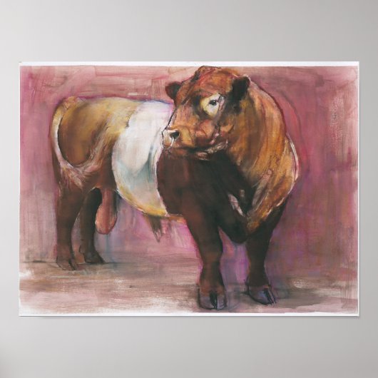 Zeus Red Belted Galloway Bull 2006 Poster (Vorne)