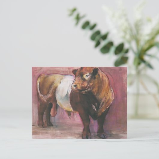 Zeus Red Belted Galloway Bull 2006 Postkarte (Stehend Vorderseite)